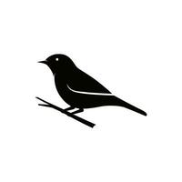 zwart vogel logo Aan boom Afdeling sjabloon vector