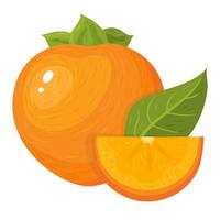 vers geheel en gesneden plak persimmon vruchten geïsoleerd op wit vector