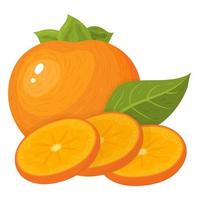 vers geheel en gesneden plakjes persimmon fruit geïsoleerd op wit vector