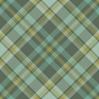 plaid patroon vector. controleren kleding stof textuur. naadloos textiel ontwerp voor kleren, papier afdrukken. vector