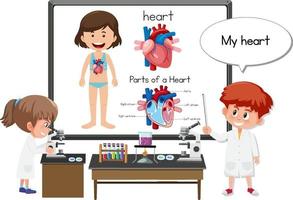jonge dokter die de anatomie van het hart uitlegt vector