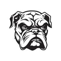 bulldog hoofd vector afbeeldingen