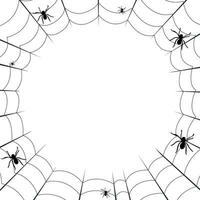 vector wit halloween spinnenweb en spinnen lijn kunst sjabloon