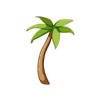 natuurlijk palm kokosnoot tekenfilm vector illustratie