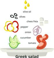 infographic van de recept voor Grieks salade. ingrediënten, groenten voor salade. vlak stijl. vector illustratie