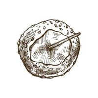 hand getekend schetsen van snoep soort snoepje appels met noot hagelslag. vector voedsel tekening. traditioneel kerstmis, halloween nagerecht. illustratie voor verpakking, label. wijnoogst vakantie ontwerp.