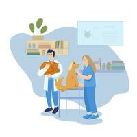 veterinair kliniek. behandeling van huisdieren. een glimlachen meisje dierenarts voert een medisch examen en behandeling van een hond. een mannetje dierenarts houdt een kat in zijn armen. veterinair bijstand vector