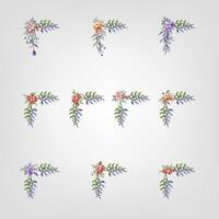 reeks botanisch bloesem bloemen elementen decoratief voor uitnodiging vector
