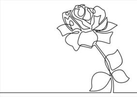 roos bloemen doorlopend lijn tekening vector