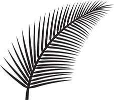 blad van palmboom vector