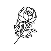 wijnoogst hand- getrokken roos bloemen lijn kunst logo element vector