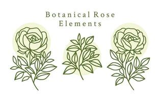 wijnoogst hand- getrokken roos bloem logo element verzameling vector