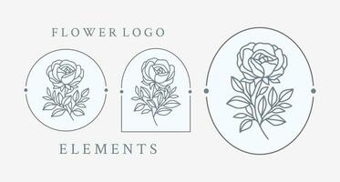 wijnoogst hand- getrokken roos bloem logo element verzameling met kader vector