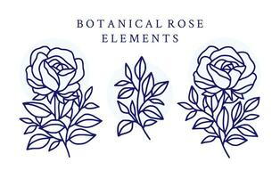 wijnoogst hand- getrokken roos bloem logo element verzameling vector