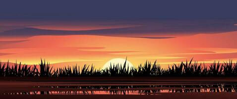 zonsondergang lucht met gras. vector natuur achtergrond