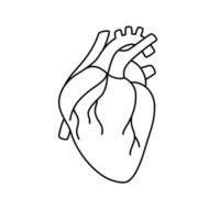 anatomische hart geïsoleerd. cardiologie diagnostisch centrum teken. menselijk voorgevormd hart plat ontwerp. medische wetenschap anatomie illustratie. vector