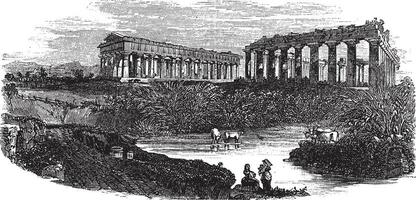 de ruïnes van tempels Bij paestum in Campanië Italië wijnoogst gravure vector