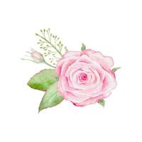 waterverf roze single roos bloem boeket voor valentijnsdag dag kaart of stoffig roze bruiloft boeket vector