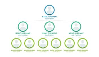 organisatorisch tabel van bedrijf structuur vector