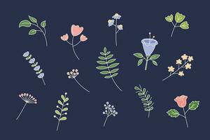 bloemen elementen set. vector illustratie. schattig hand- getrokken bloemen en planten