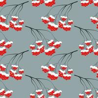 naadloos patroon, brunches van rood lijsterbes in de sneeuw Aan een blauw achtergrond. afdrukken, achtergrond, vector
