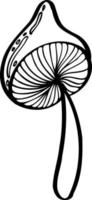 amanita muscaria, vliegenzwam of vliegenamanita. geïsoleerde zwarte lijn illustratie van paddestoel. vectorillustratie. zwart en wit. gevaarlijke schattige paddestoel. bos paddestoelen. grote amanita muscaria. vector