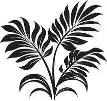 exotisch bloemblad majesteit vector zwart ontwerp tropisch botanisch essence zwart vector icoon