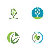 logo's van groene boom blad ecologie vector