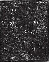 Boogschutter sterrenbeeld, wijnoogst gravure. vector