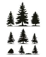 vector wijnoogst bomen en Woud silhouetten reeks met Spar boom silhouet en schets