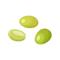 drie fruit van groen olijven in tekenfilm stijl. een olijf- is besnoeiing in voor de helft, de pit is zichtbaar. vector