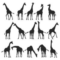 giraffe silhouet, illustratie van de giraffe dier vector