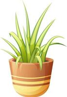 spin plant, bladgroen, binnen- groen fabriek in bloem pot Aan transparant achtergrond. vector illustratie in tekenfilm stijl