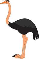 een zwart gekleurd tekenfilm struisvogel vector of kleur illustratie