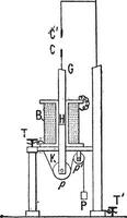 archereau regelgever, wijnoogst gravure vector