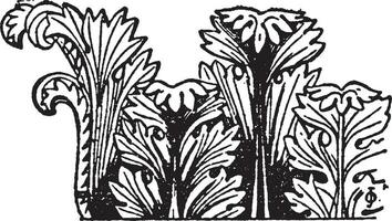 acanthus wijnoogst illustratie. vector