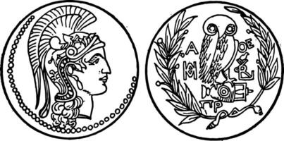 munt van Athene wijnoogst illustratie. vector