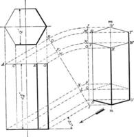 projectie van zeshoekig prisma wijnoogst illustratie. vector