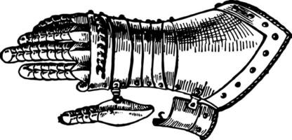 handschoen, wijnoogst illustratie. vector
