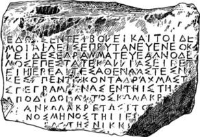 een athenian inscriptie, wijnoogst illustratie. vector