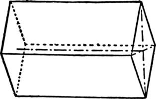 macro-prisma en brachy-pinacoïde wijnoogst illustratie. vector