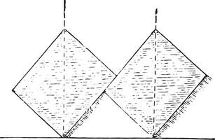 strip grondbewerking rechtop staan net zo mogelijk, wijnoogst gravure. vector