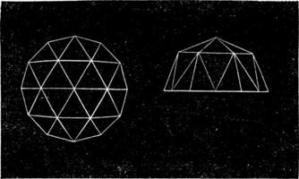 briljant, wijnoogst gravure. vector