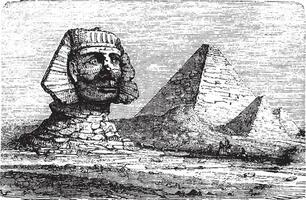 piramides van Gizeh en de Super goed sfinx, wijnoogst gravure. vector
