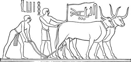 laag Verlichting naar de graven van memphis, wijnoogst gravure. vector