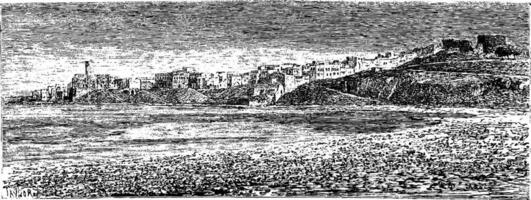 Egyptische haven in de stad van sidon in Libanon, wijnoogst gravure vector