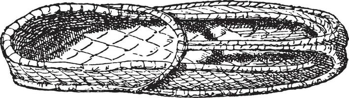 Egyptische schoen, wijnoogst gravure. vector