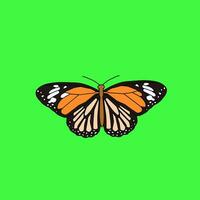 vlinder geïsoleerd op een witte achtergrond vector