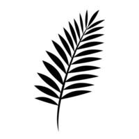 een palm boom blad silhouet vector geïsoleerd Aan een wit achtergrond