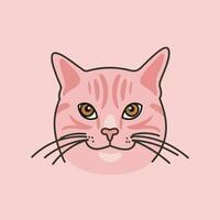 roze kleur kat vector illustratie